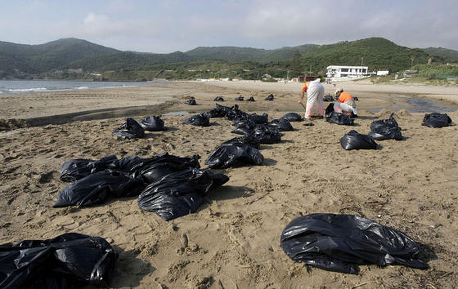 Desplegado el dispostivo de limpieza en la playa de Getares.

Foto: Erasmo Fenoy
