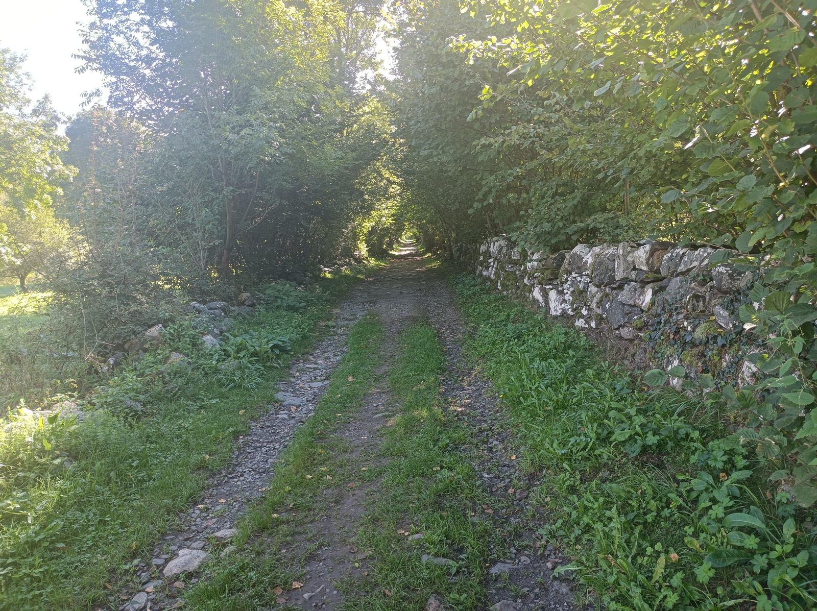 Sendero entre Era Bordeta y Es Bòrdes