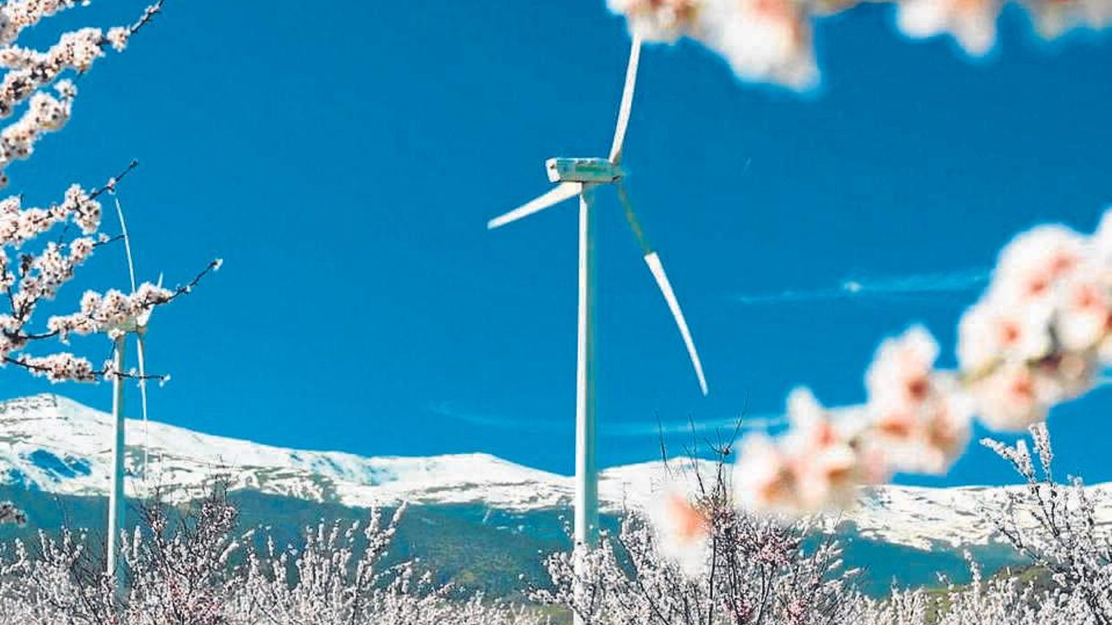 Parque eólico El Marquesado. Granada.