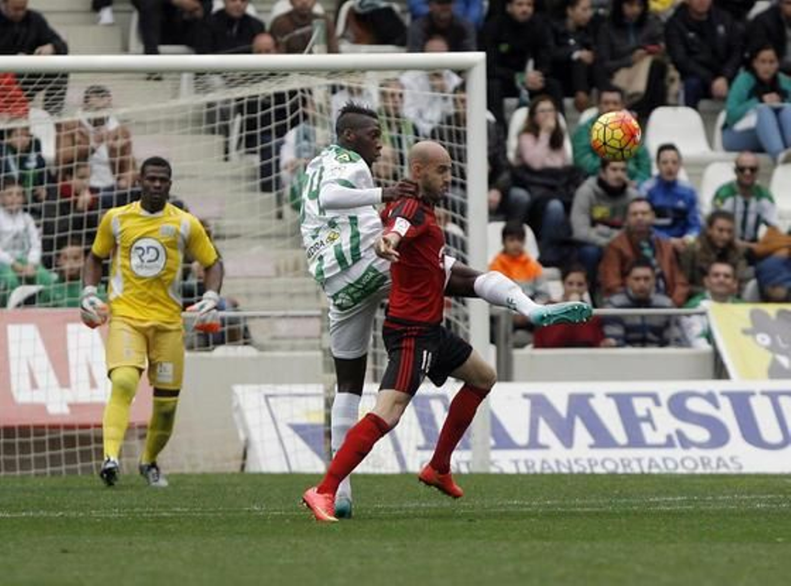 Foto: José Martínez