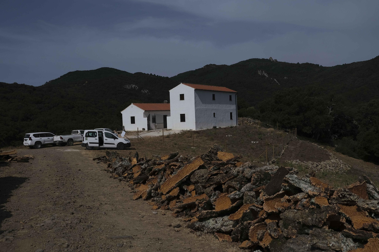 La fotos de la saca del corcho