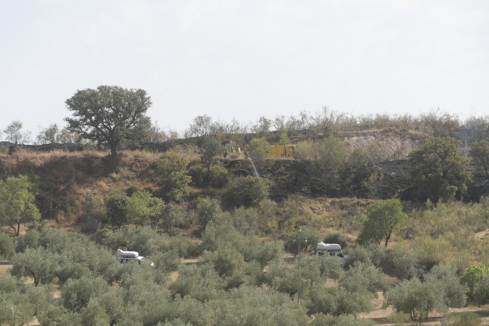 Bomberos durante el despliegue del Infoca en el incendio forestal en Jun
