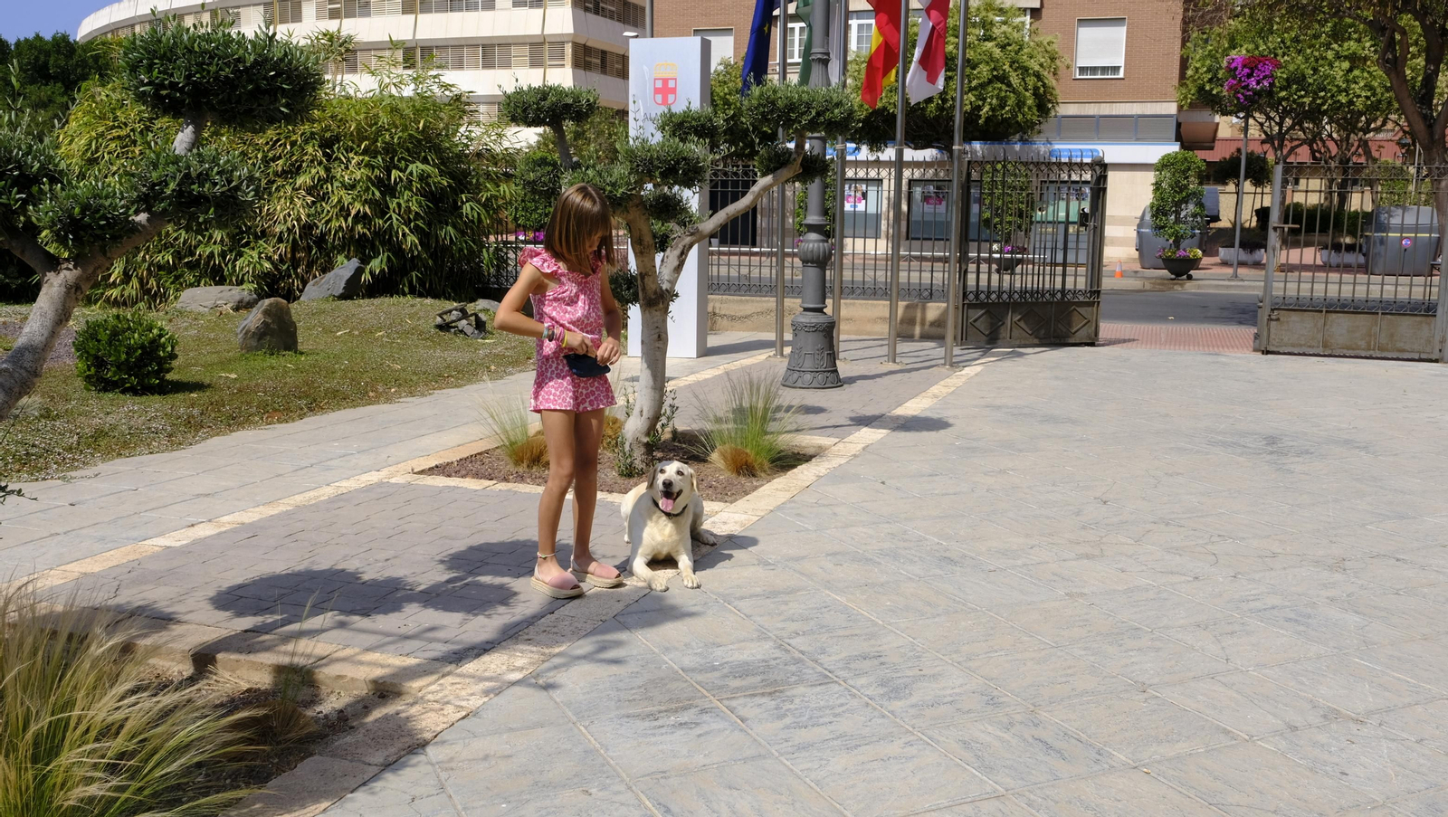 Aria, una perra adoptada, Campeona de España de búsqueda y marcaje de objetos, en imágenes