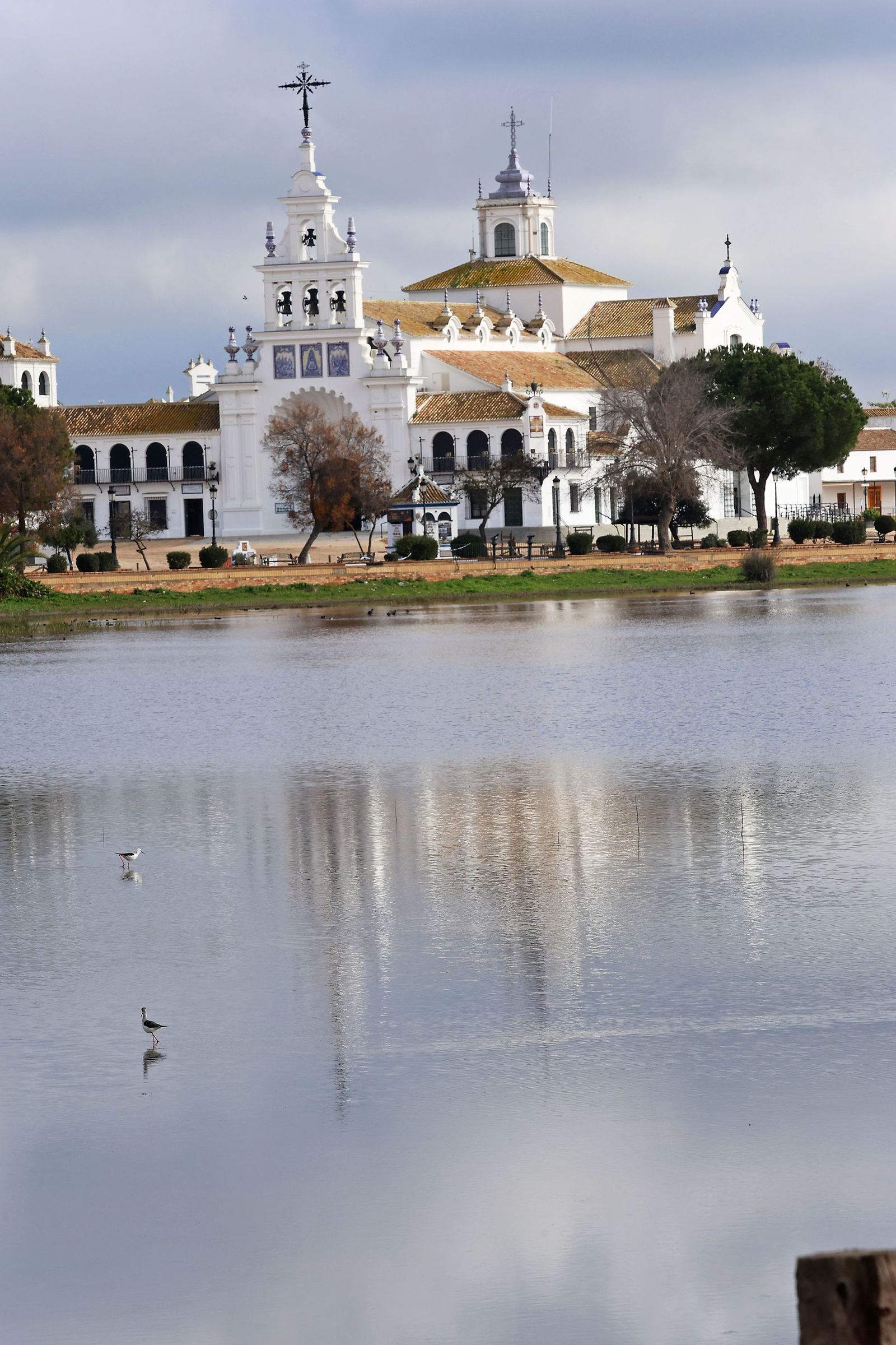 Estado actual en el que se encuentran las Marismas del Rocío tras las últimas lluvias
