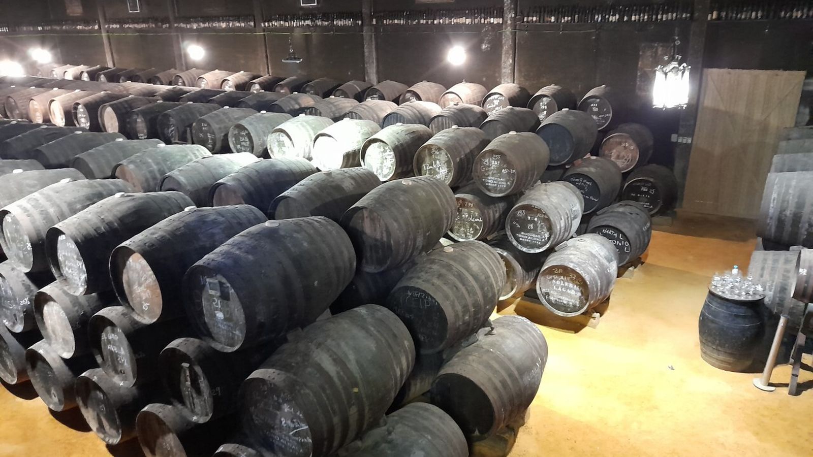 Interior de una de las bodegas de la firma Toro Albalá