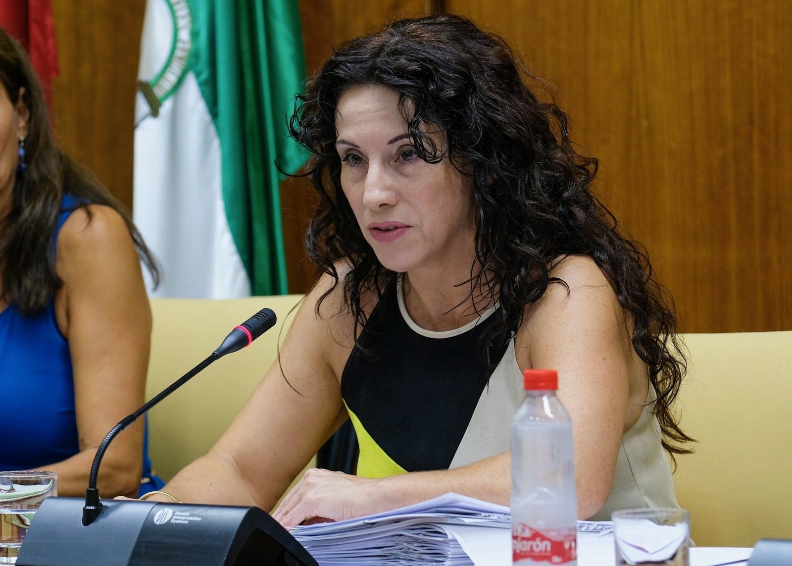 La consejera de Igualdad, Rocío Ruiz, durante su comparecencia en el Parlamento andaluz.
