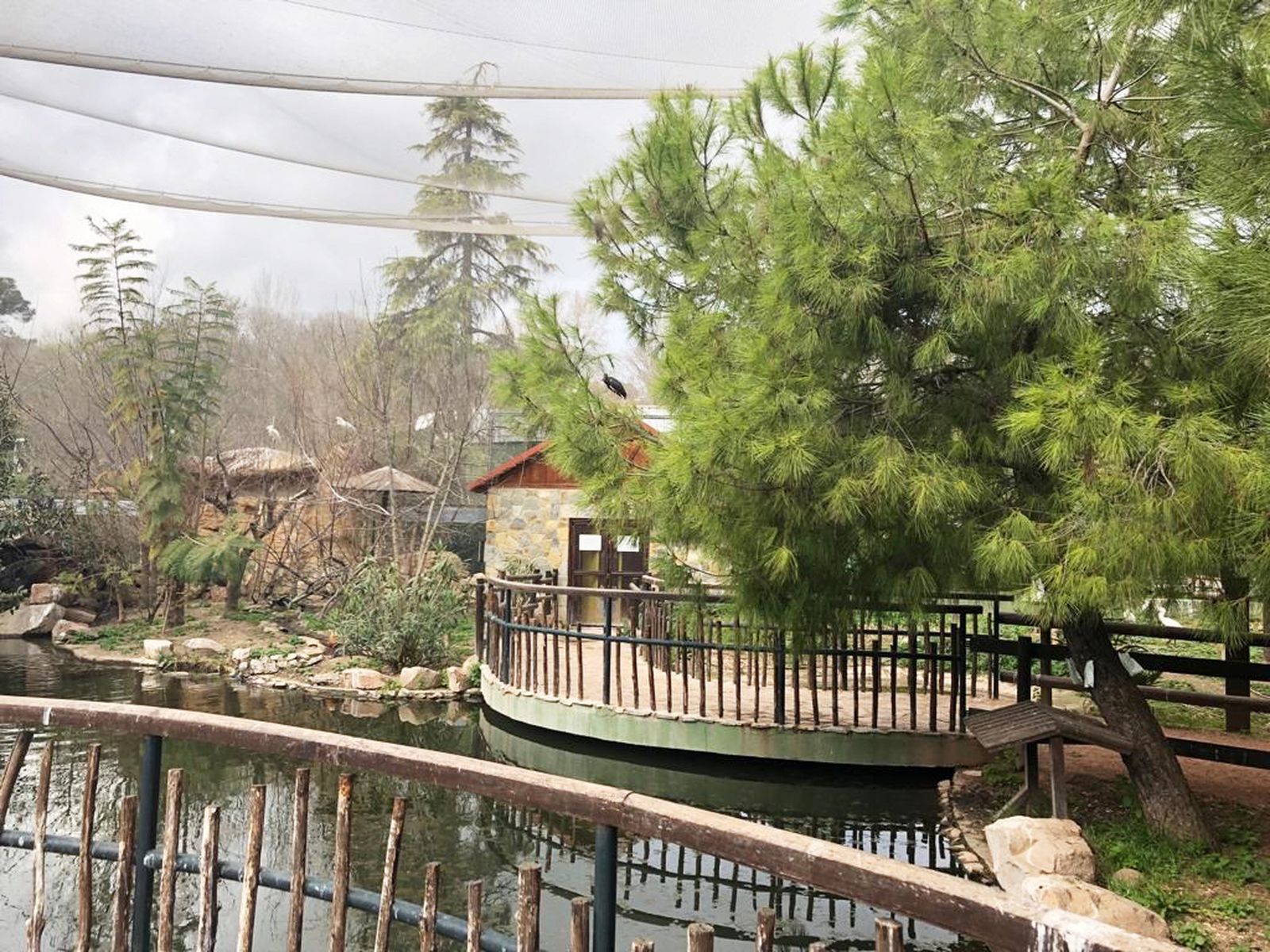 Destacan el uso de endoterapia en el Zoológico y en la Ciudad de los Niños.