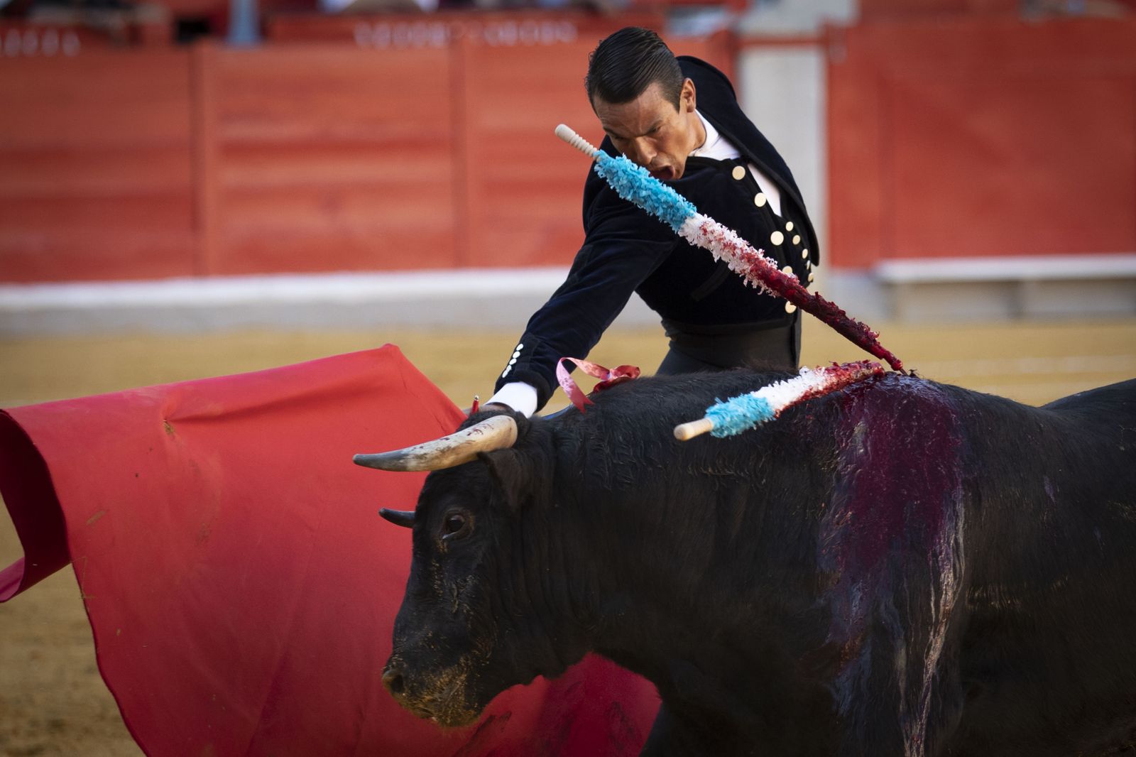 Las mejores imágenes del Festival Taurino en beneficio de Granadadown