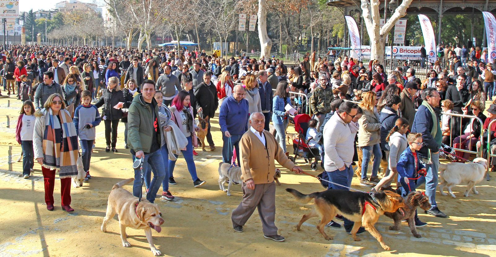 Las imágenes de San Antón