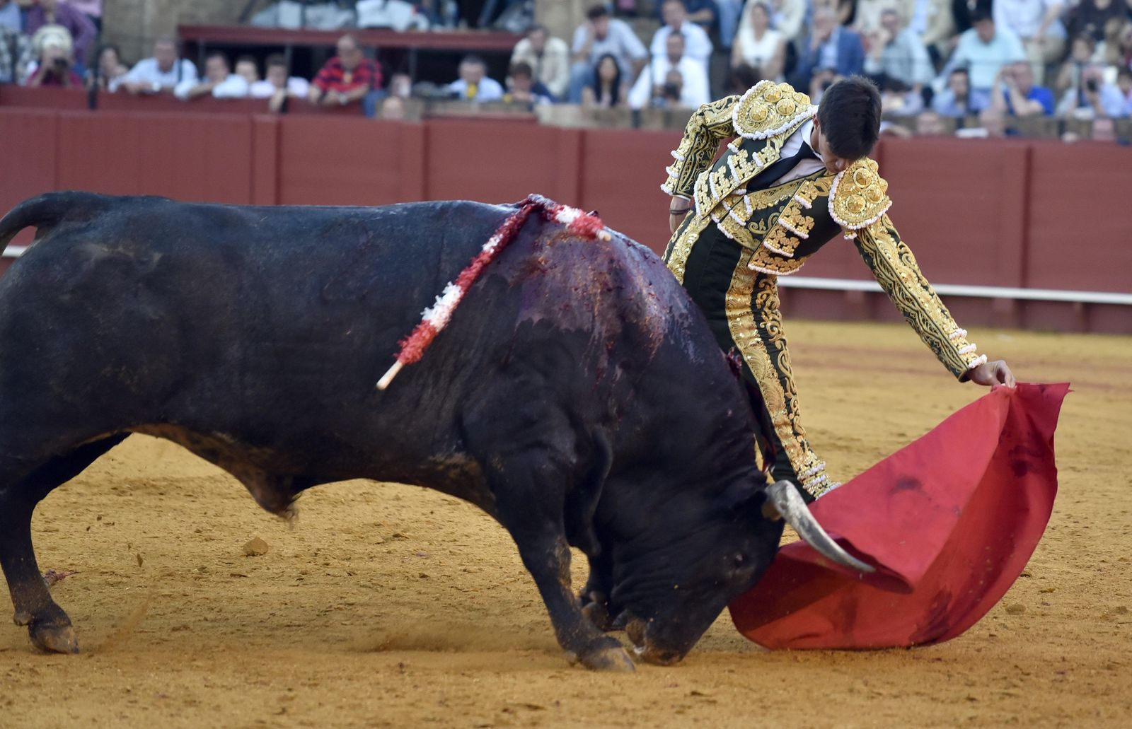 La 14ª de abono en la Real Maestranza de Sevilla, en imágenes
