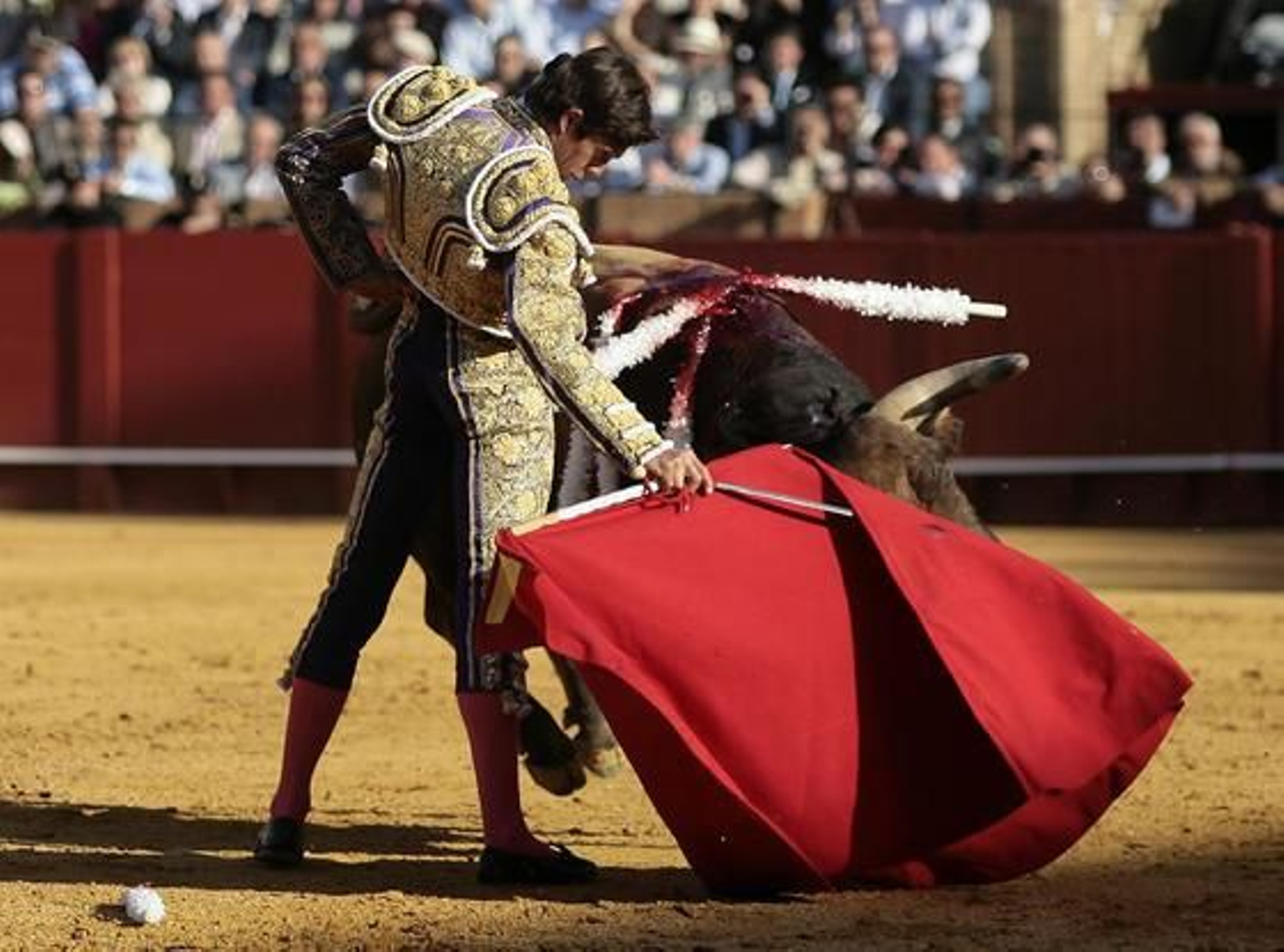 Foto: Juan Carlos Muñoz