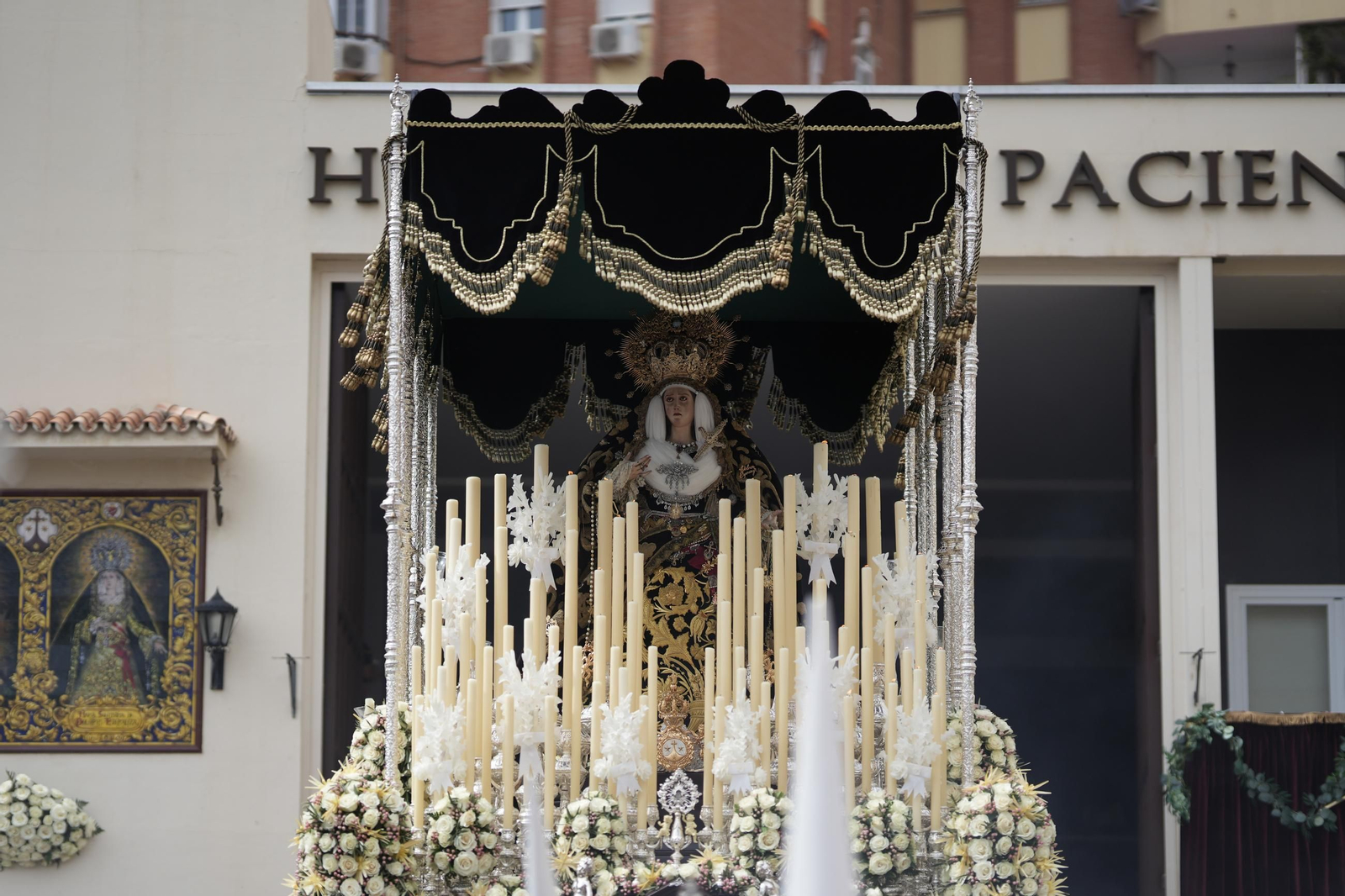 Humildad y Paciencia el Domingo de Ramos en Málaga, en imágenes