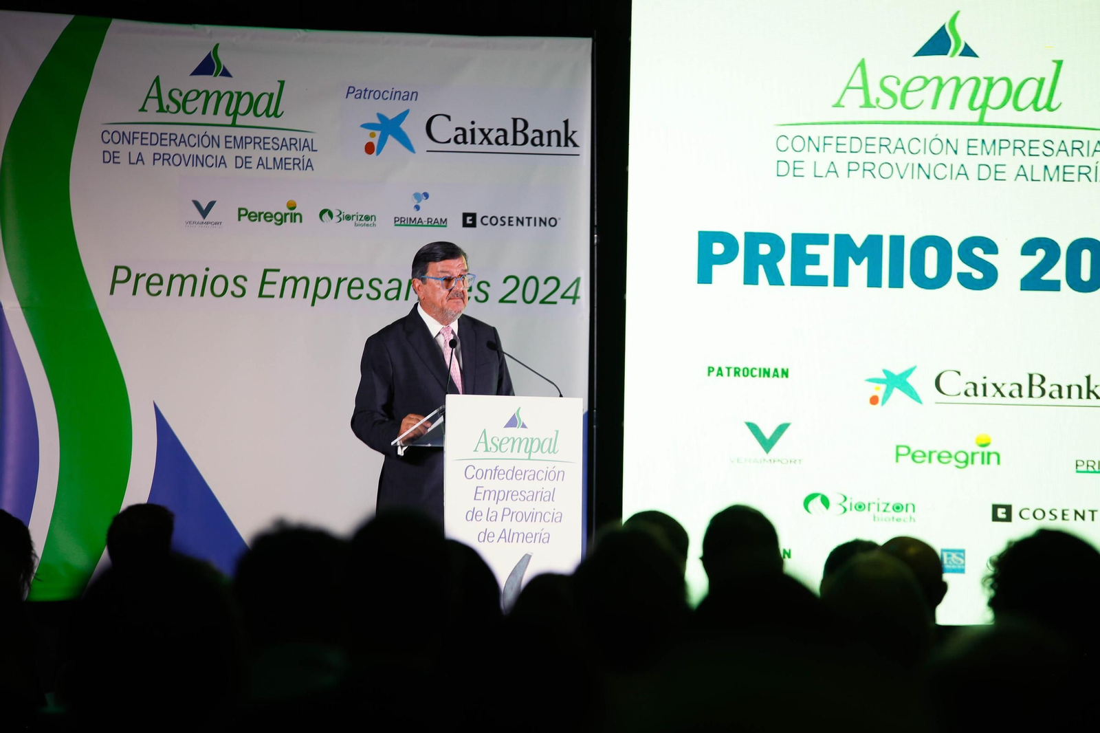 Los premios ASEMPAL 2024 de Almería, en imágenes