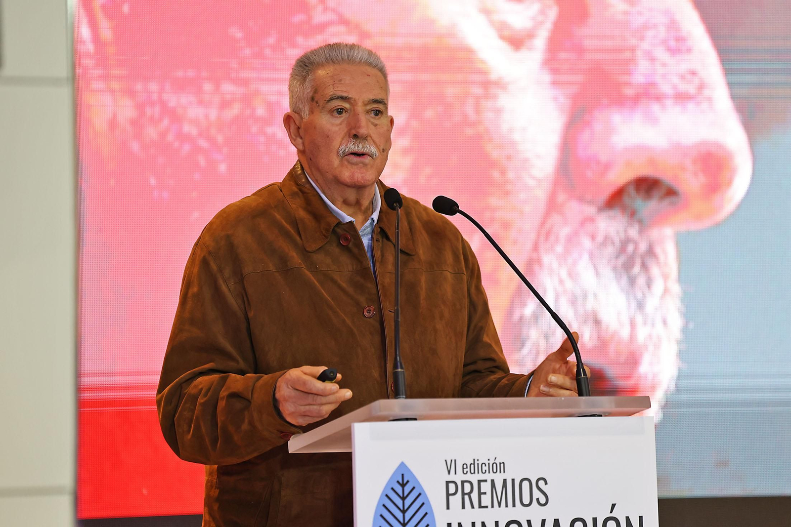 Imágenes de la VI edición premios Innovación Sostenible