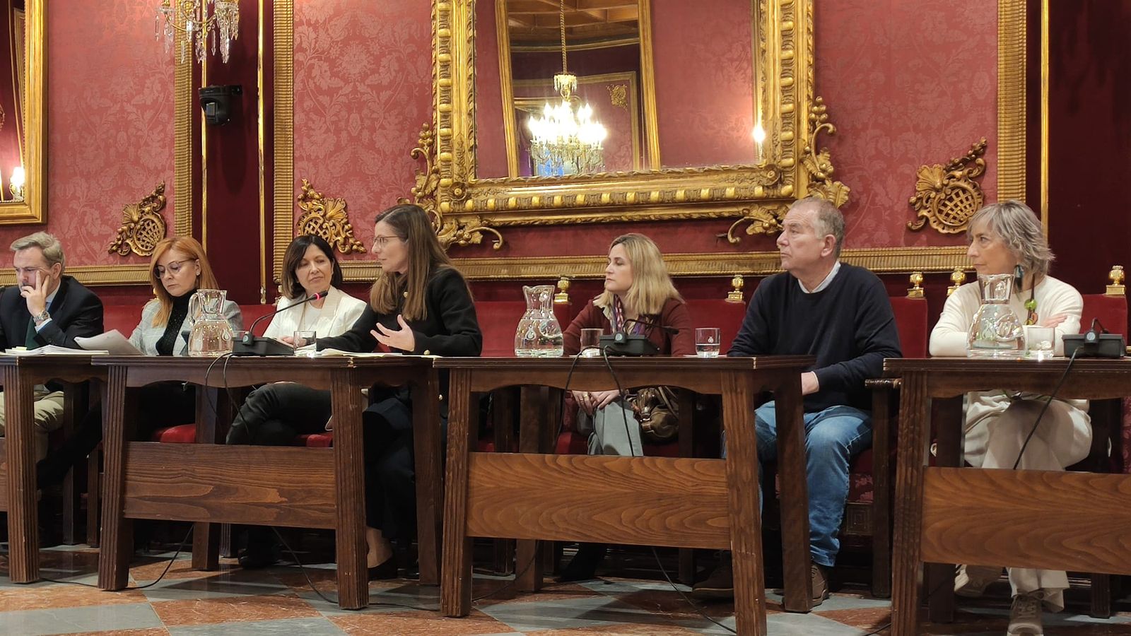 Presentación de la memoria del TEAM en comisión municipal este martes.