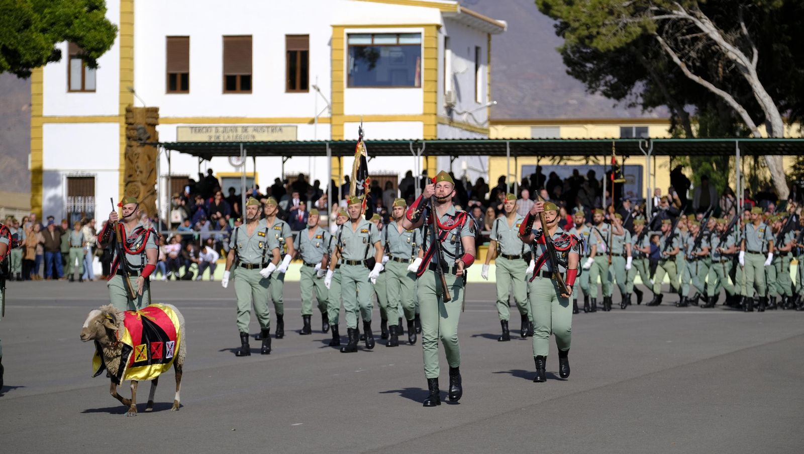 Conmemoración del Combate de Edchera en la Base Álvarez de Sotomayor de La Legión, en imágenes
