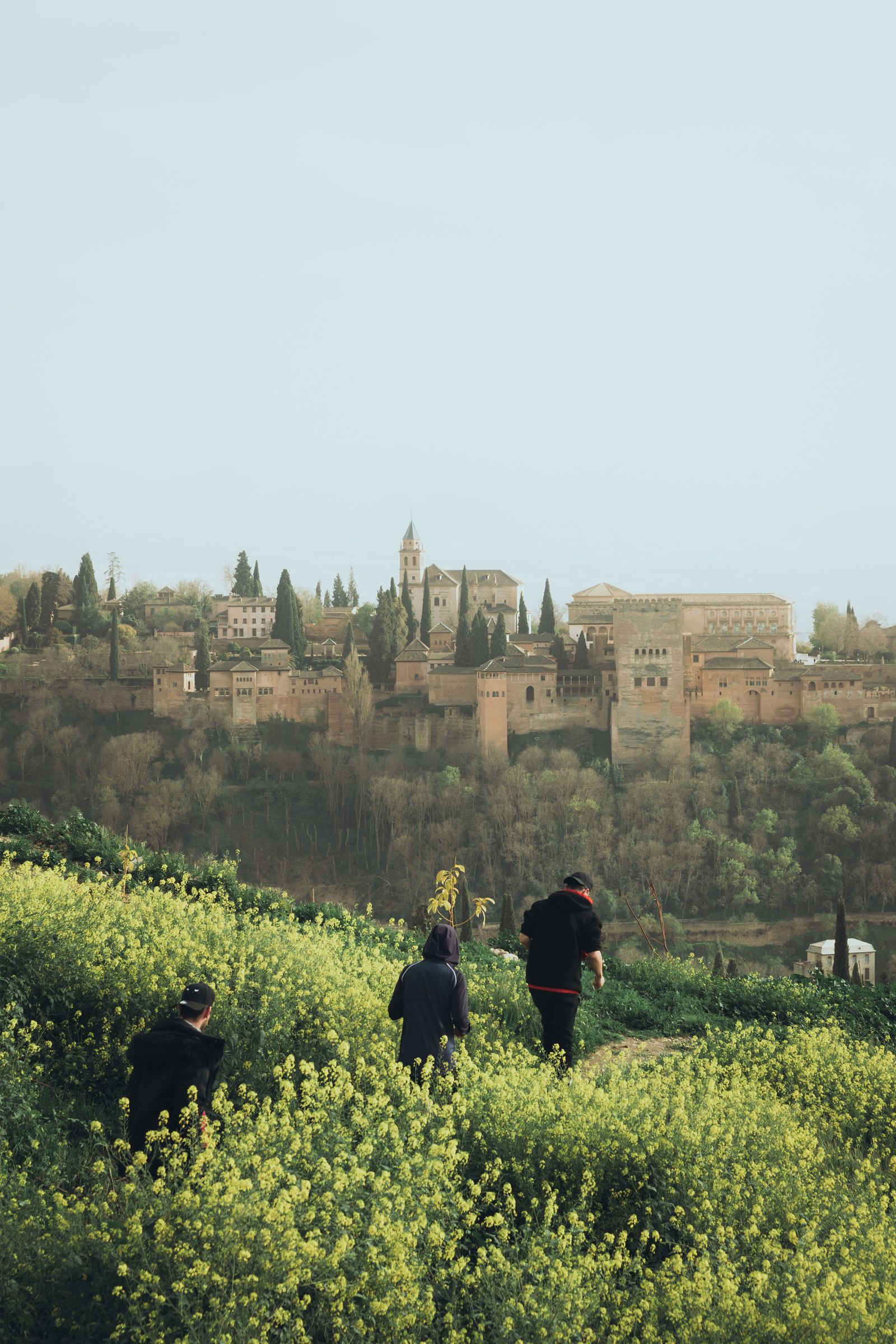 Imagen representante de Andalucía.