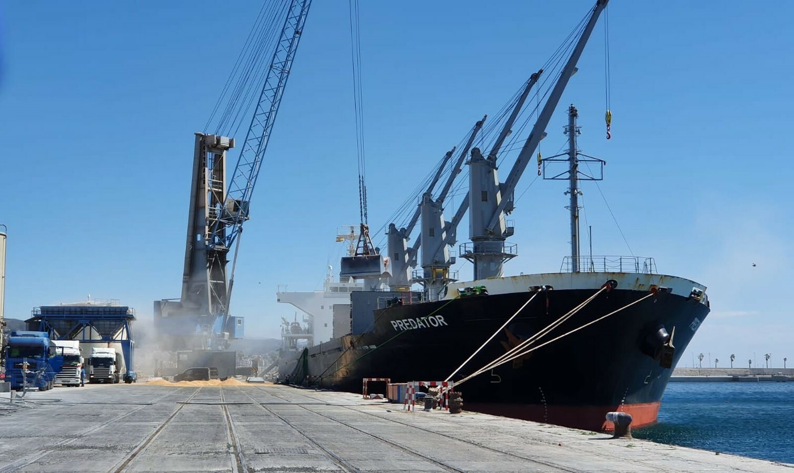 Descarga de maíz ayer en el muelle número siete.