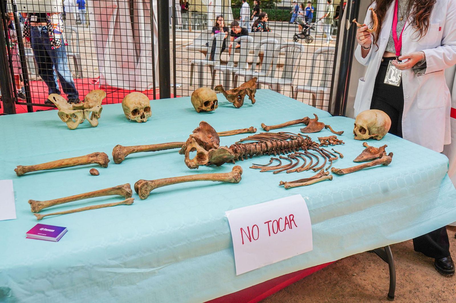 Las mejores imágenes de la Noche de los Investigadores en Granada