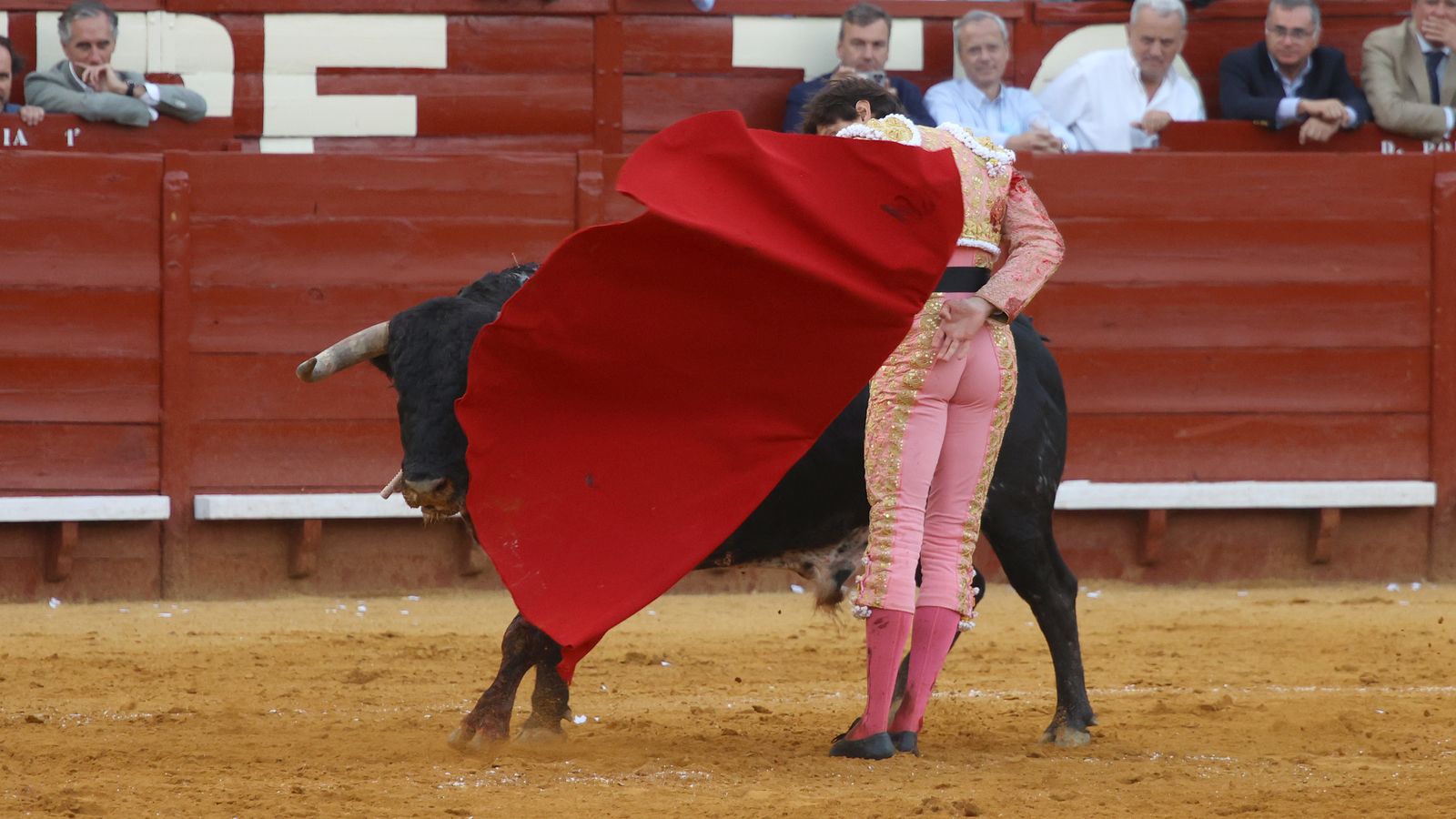 Tercera tarde de toros y última de la Feria de Jerez con Morante, Juan Ortega y Roca Rey