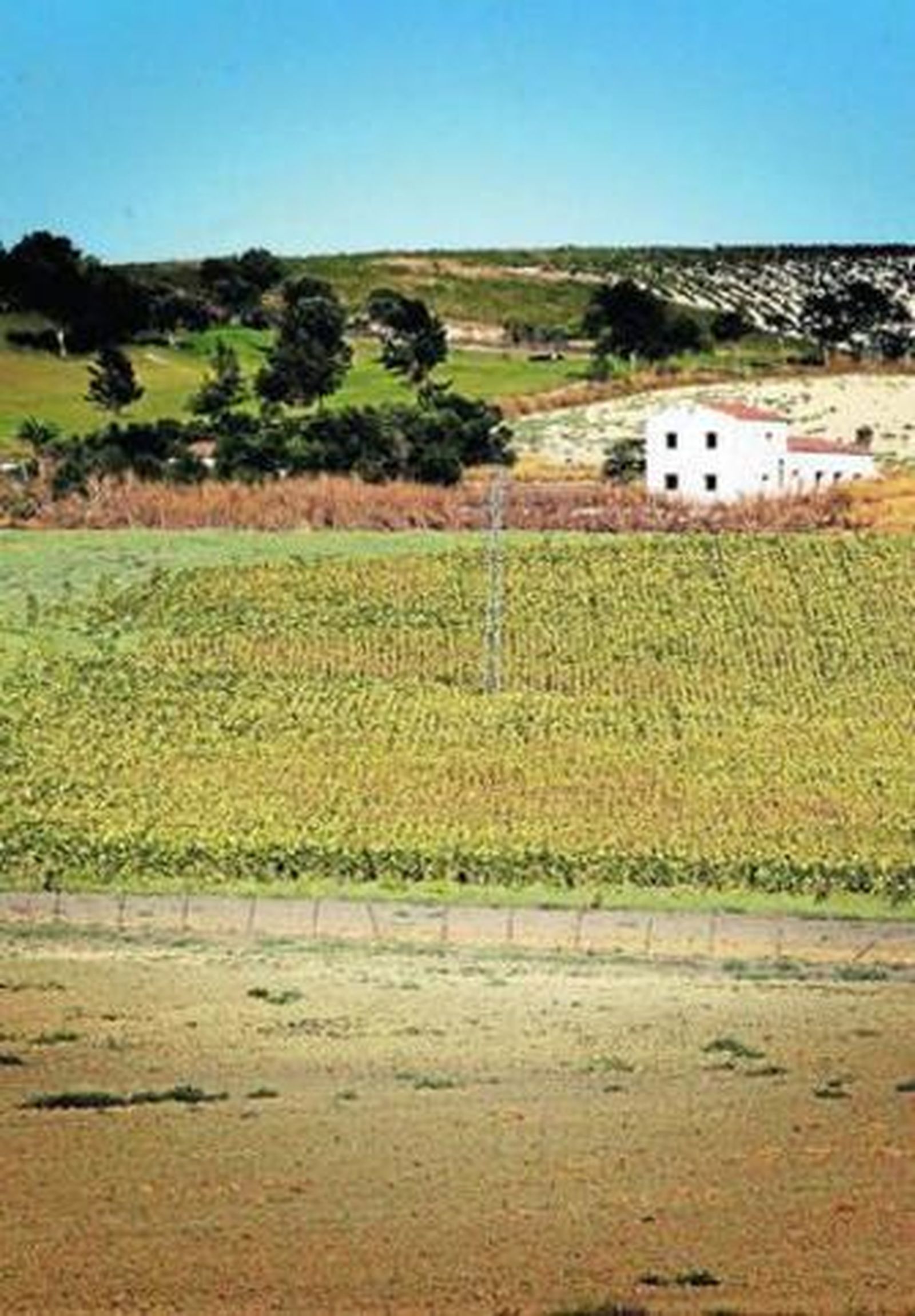 Terrenos sin desarrollar en las inmediaciones de Sherry Golf, en la zona sur de la ciudad.