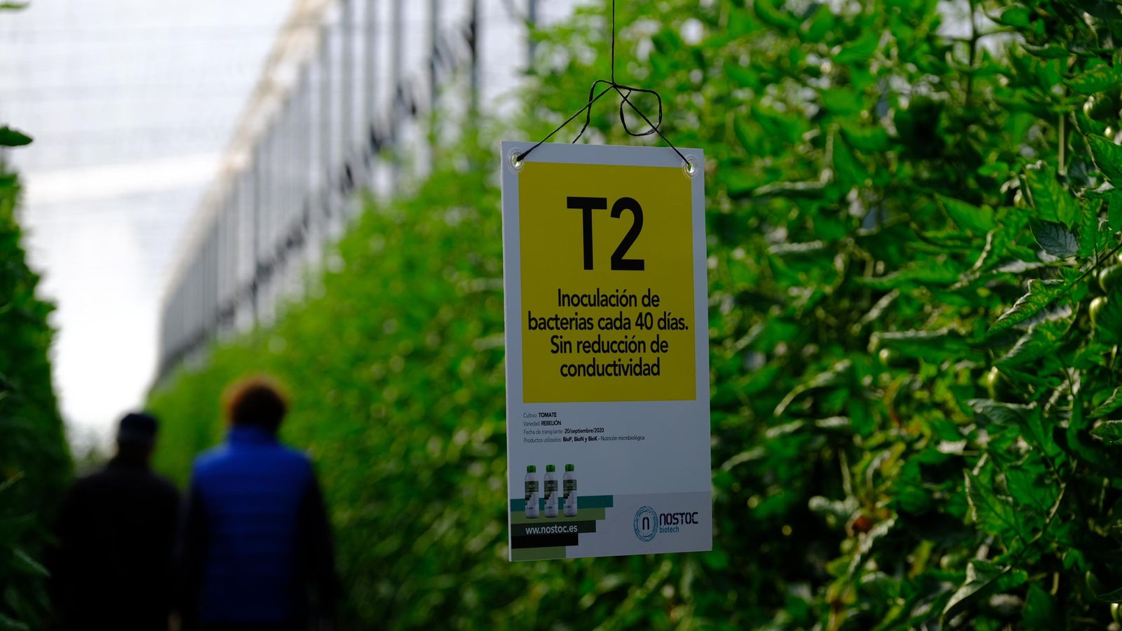 Nostoc colabora en un estudio con la UAL para determinar la capacidad productiva del humus. Nostoc colabora en un estudio con la UAL para determinar la capacidad productiva del humus.