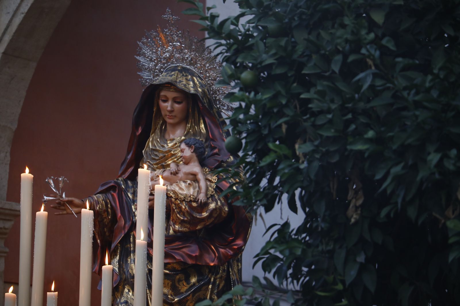 La procesión de la Virgen del Amparo de Córdoba, en fotografías