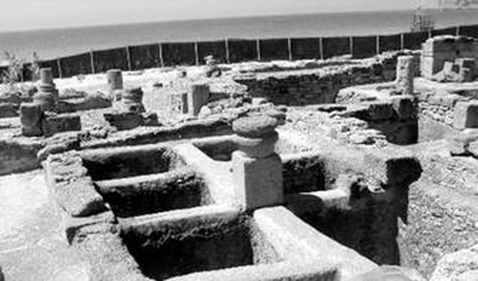 Imagen de los restos arqueológicos de Baelo Claudia, en Bolonia.