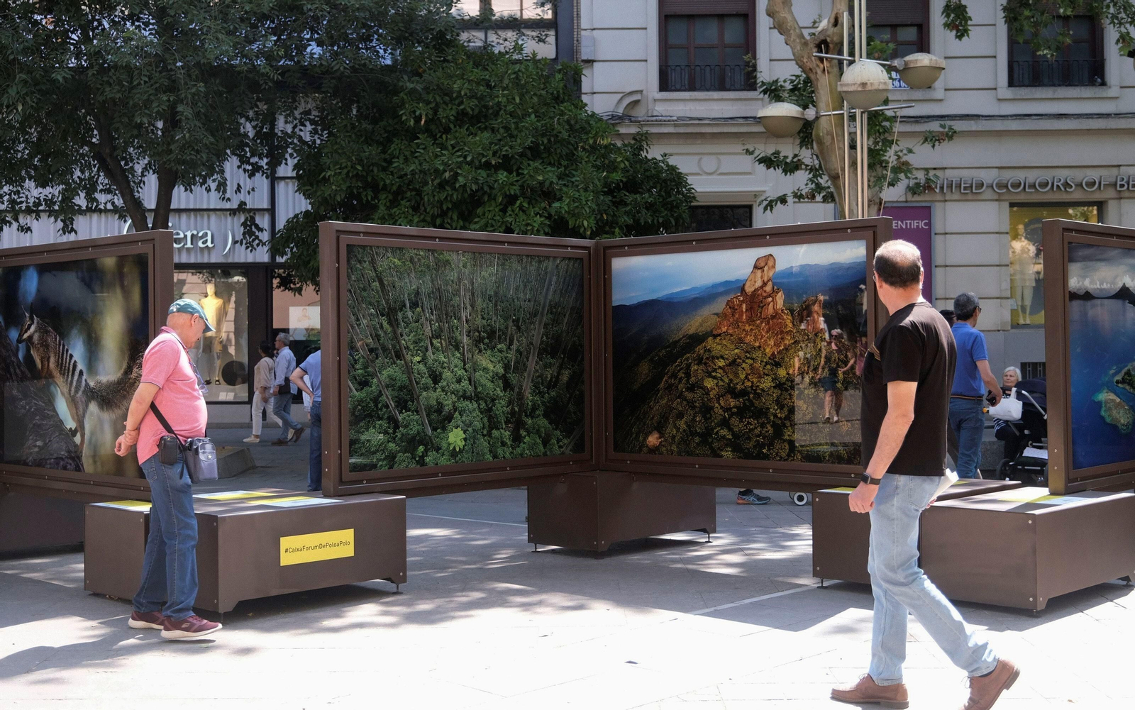 La exposición de 'National Geographic' en el bulevar del Gran Capitán de Córdoba, en imágenes