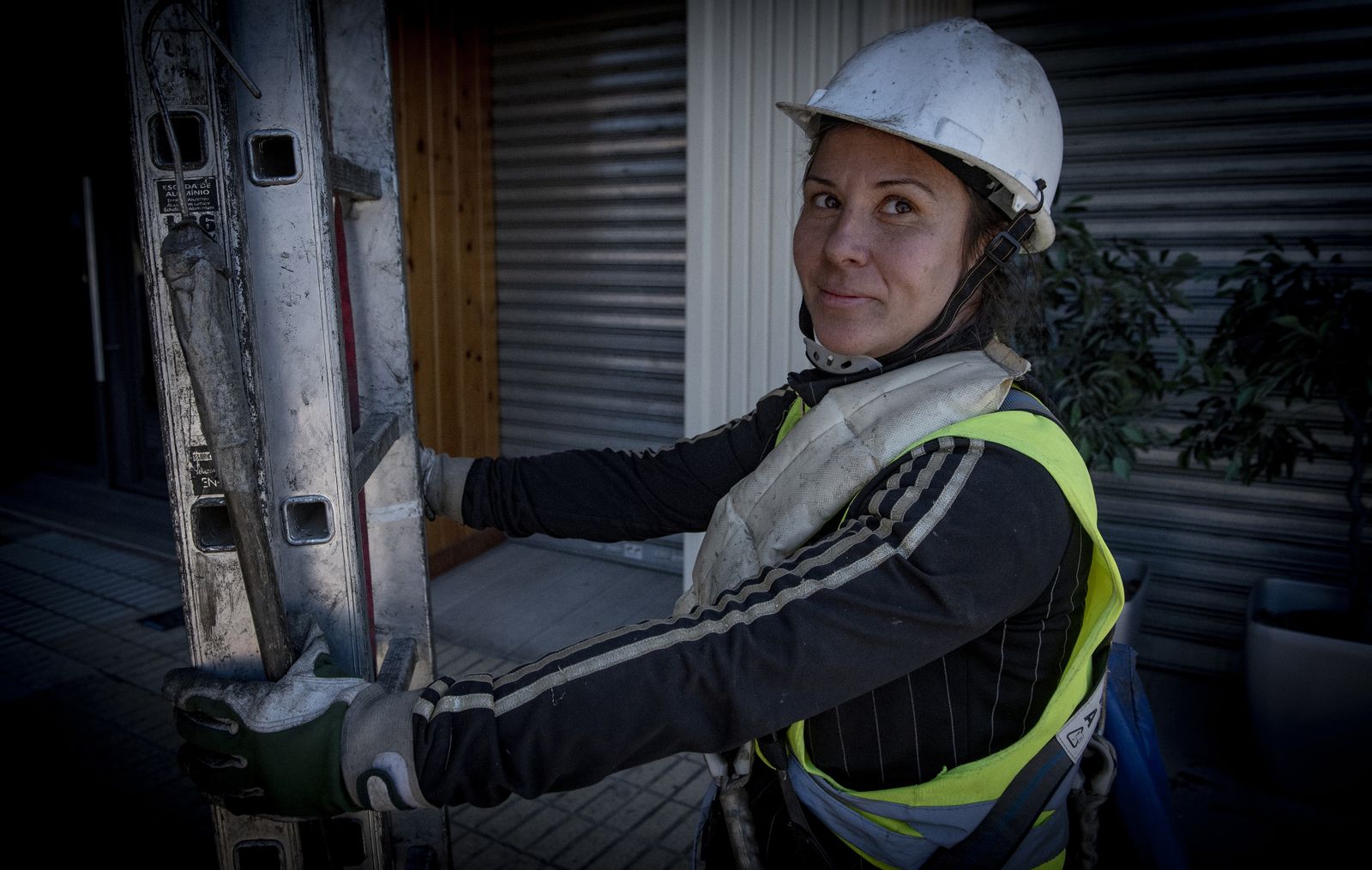 La recogida de naranja amarga en Sevilla