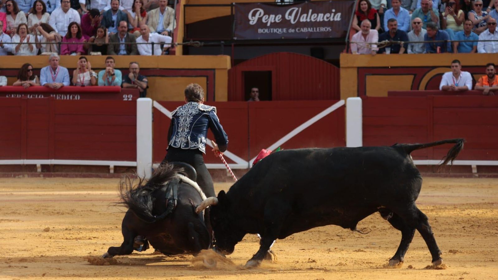 Uno de los caballos del rejoneador navarro, 'Regaliz', se llevó una cornada tras resbalar durante la lidia.
