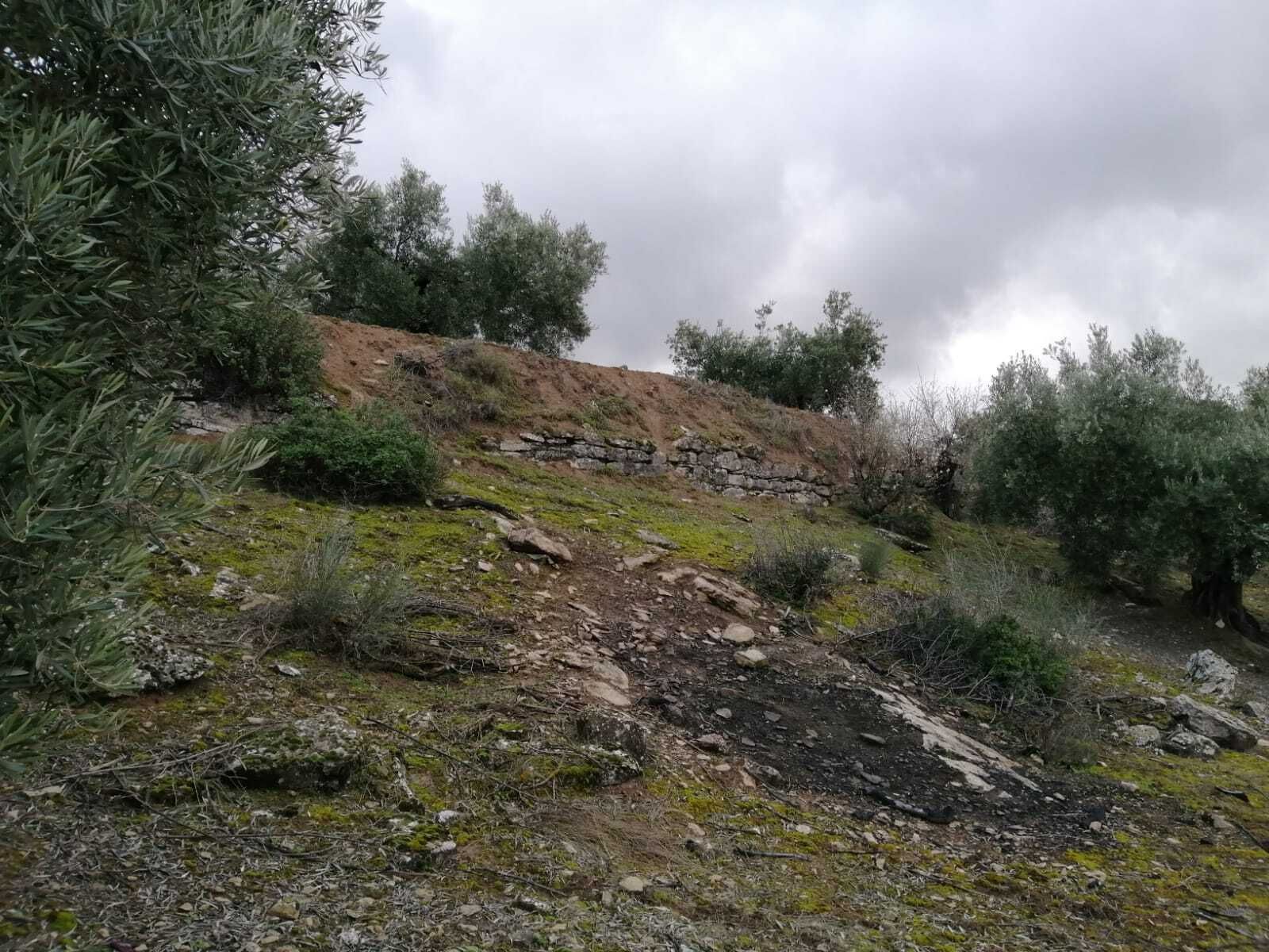 Yacimiento arqueológico de Almedinilla antes de ser intervenido.