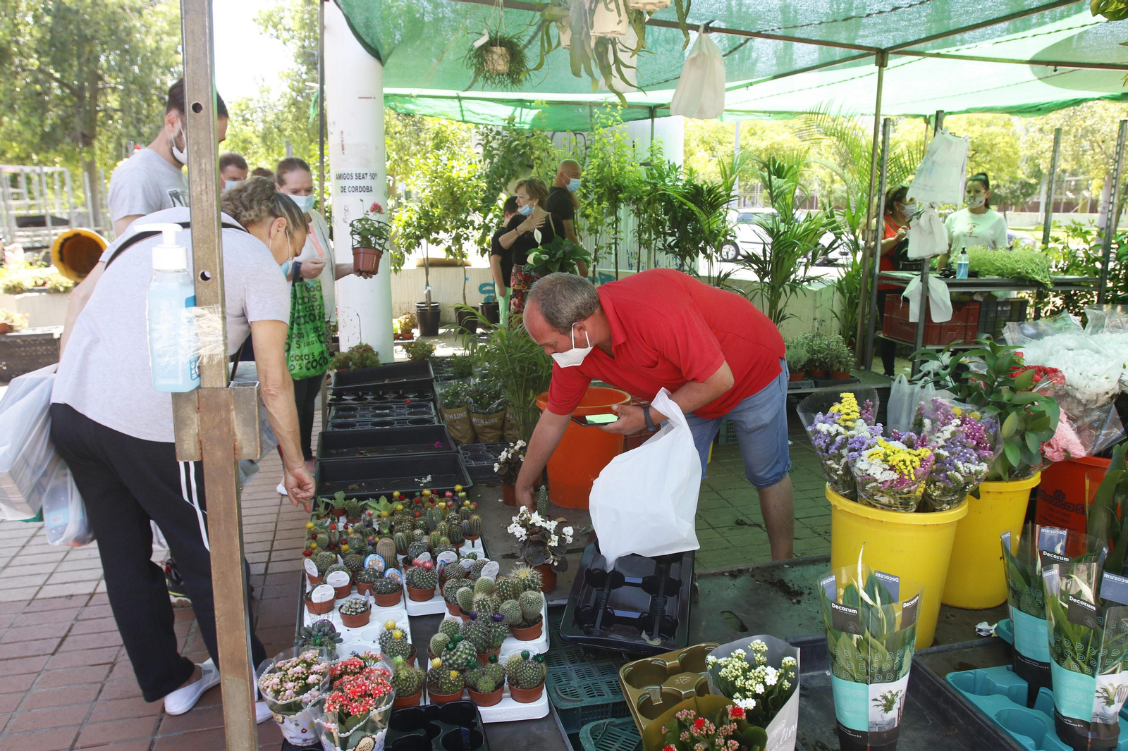 El regreso de los mercadillos de Córdoba tras la crisis del coronavirus, en fotos