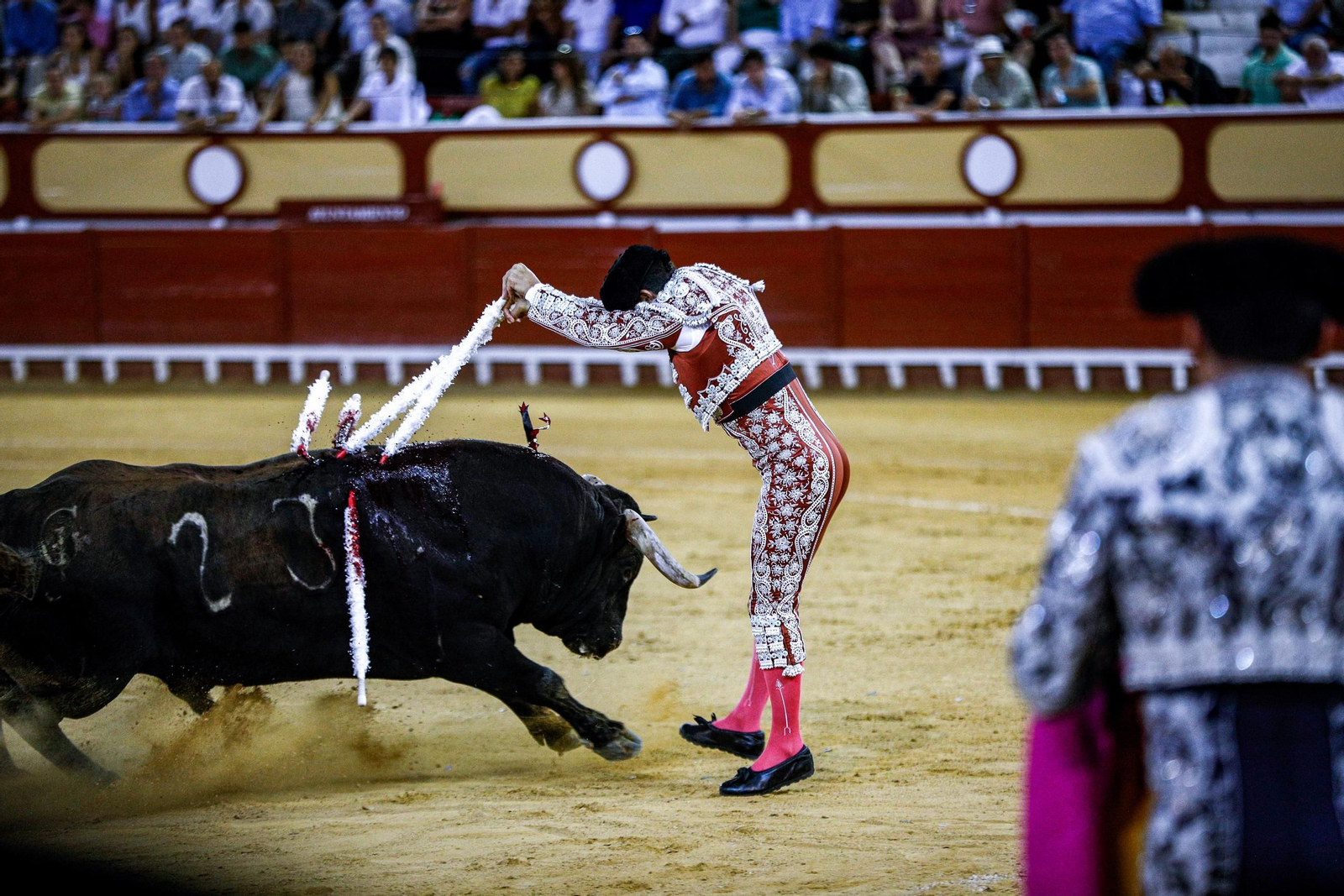 Imágenes de la corrida de toros en El Puerto: Manzanares, Roca Rey y Pablo Aguado