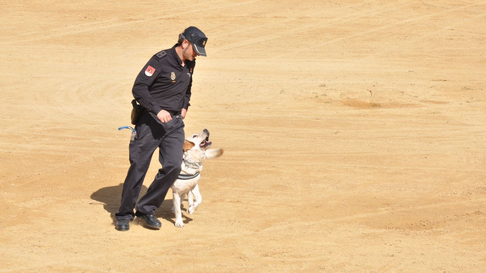 La unidad canina es una de las más esperadas en las jornadas