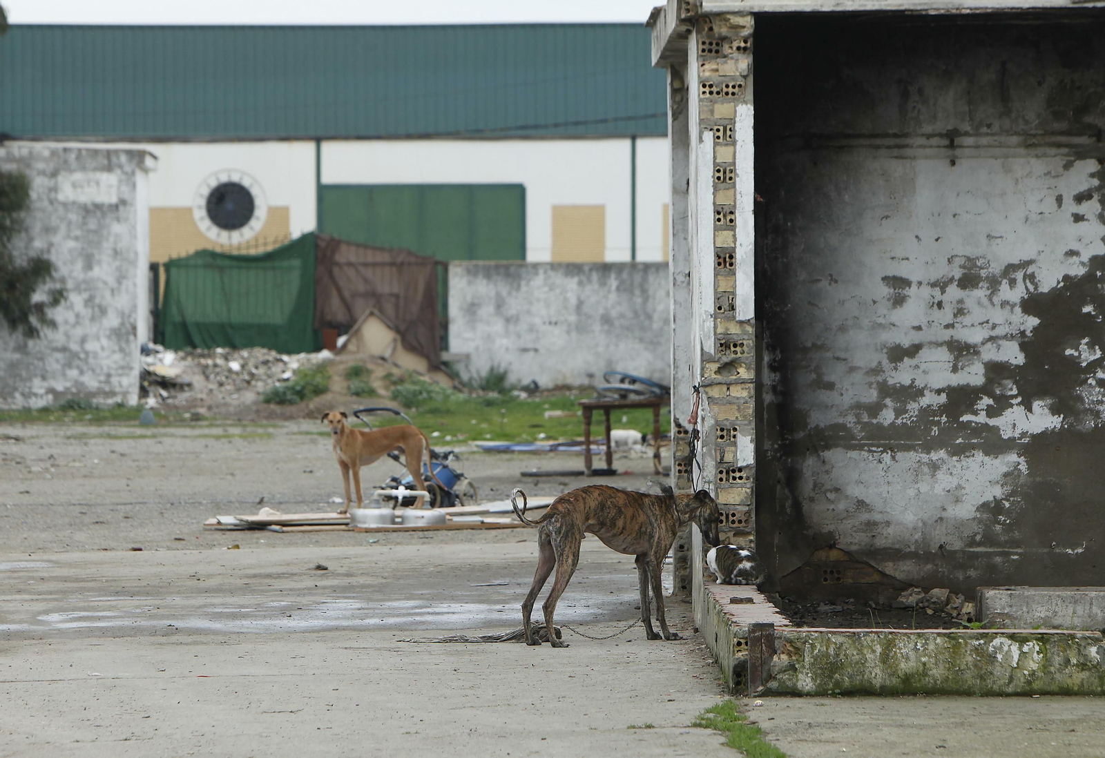 Las naves en las que ocurrió el tiroteo