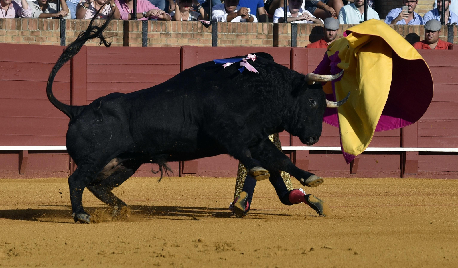 La segunda corrida de la Feria de San Miguel, en imágenes