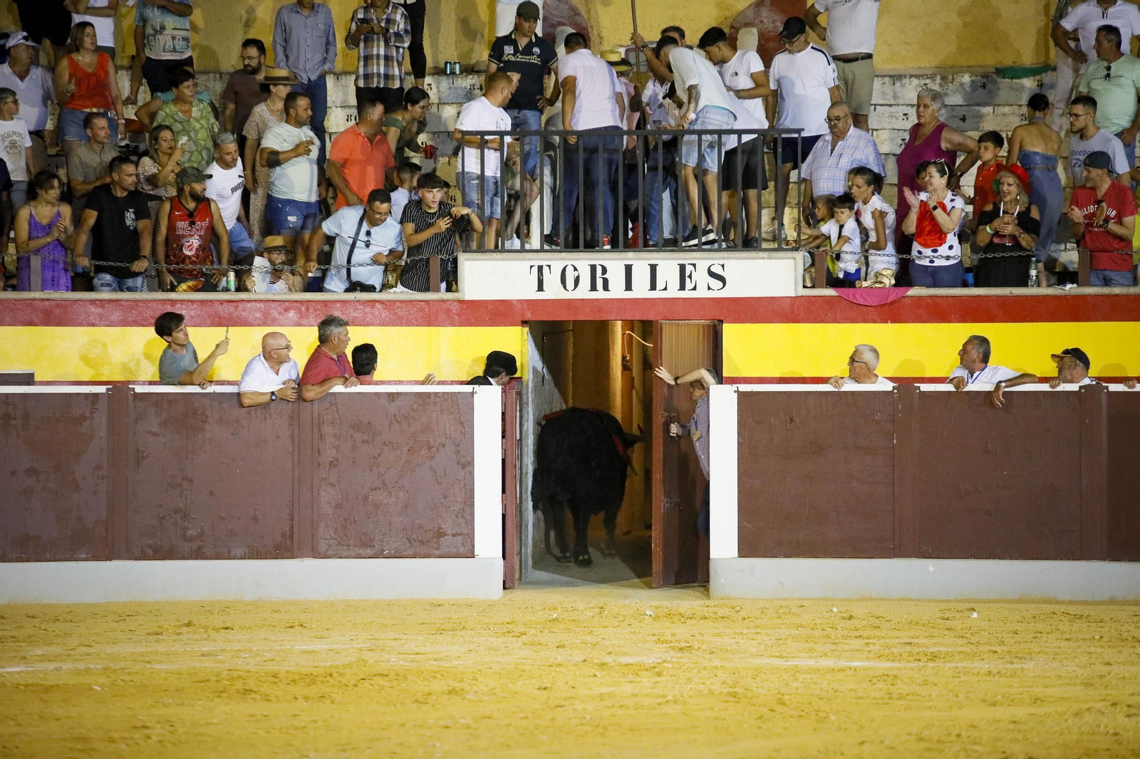 Corrida de toros Berja con un toro indultado, en imágenes