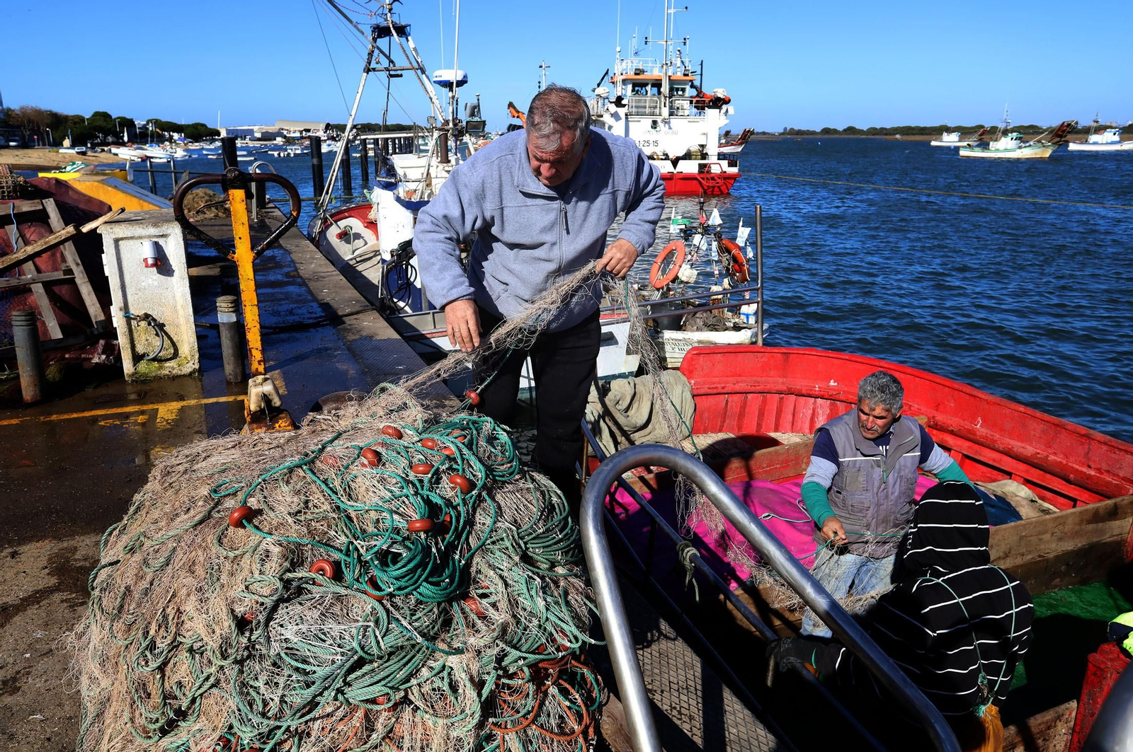 Descarga de la chirla en el Puerto de Punta Umbría