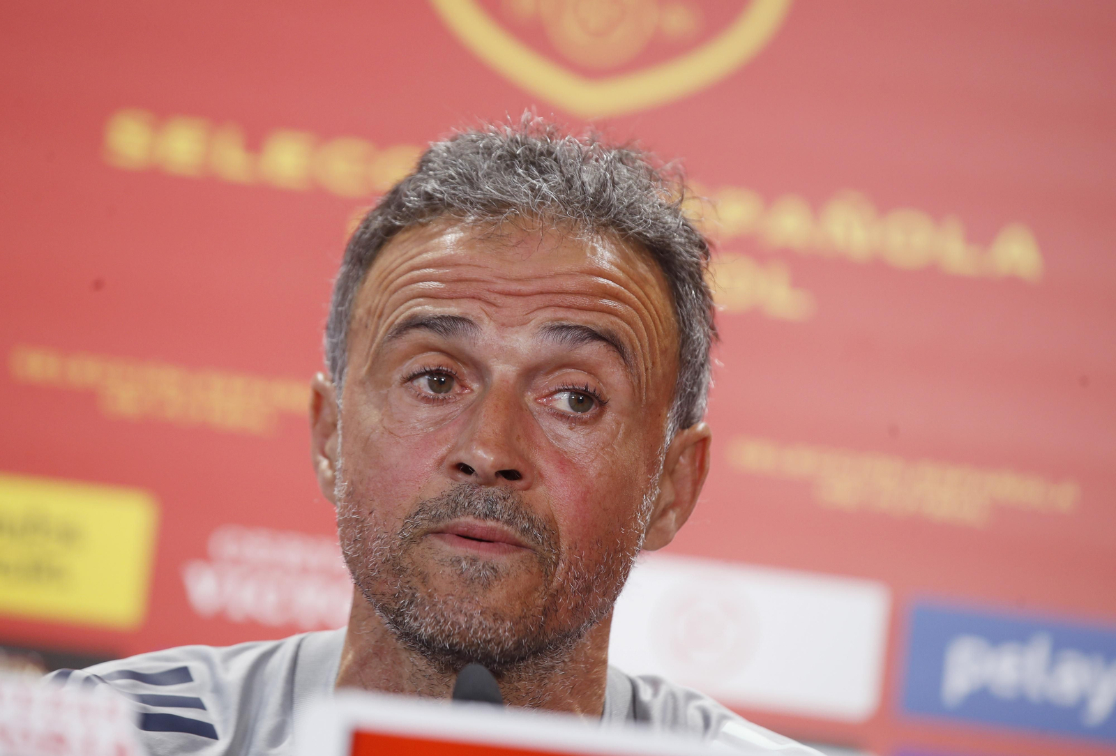 Las imágenes de la selección española en Sevilla