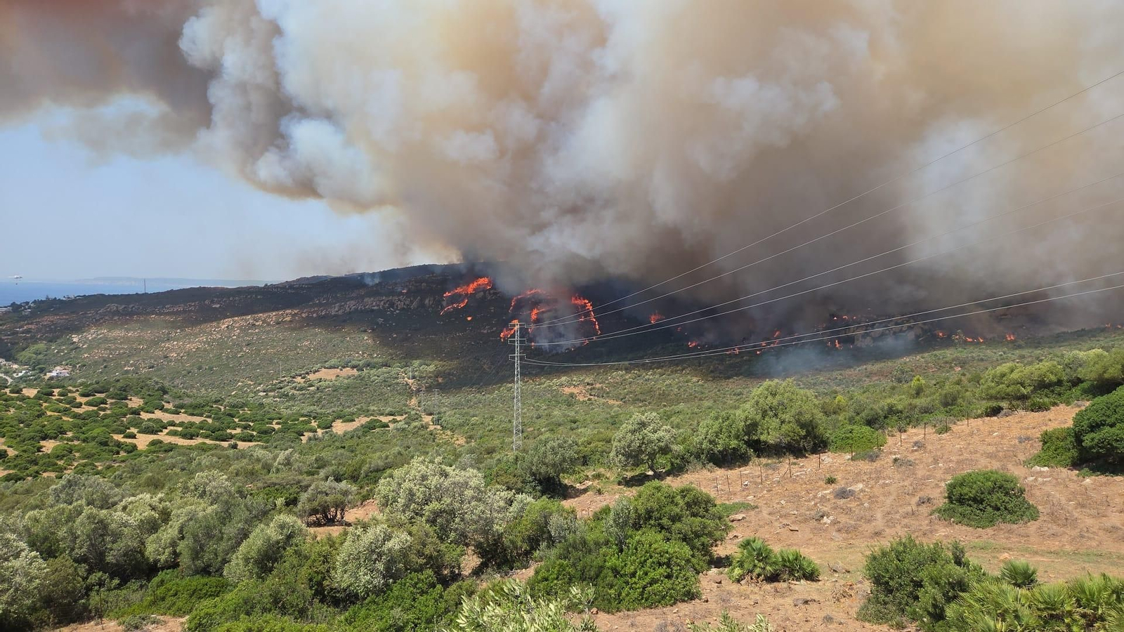 Nuevas imágenes del incendio forestal en Tarifa.