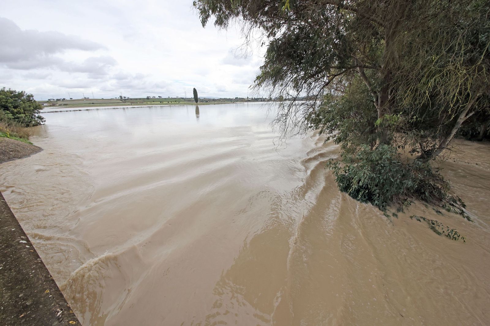 El Guadalete comienza a bajar su nivel poco a poco por la zona rural de Jerez