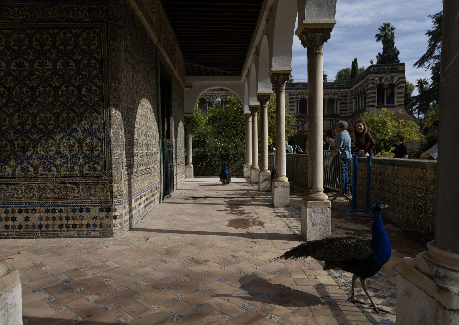 Galería del cenador de Carlos V, en los Jardines del Alcázar de Sevilla.