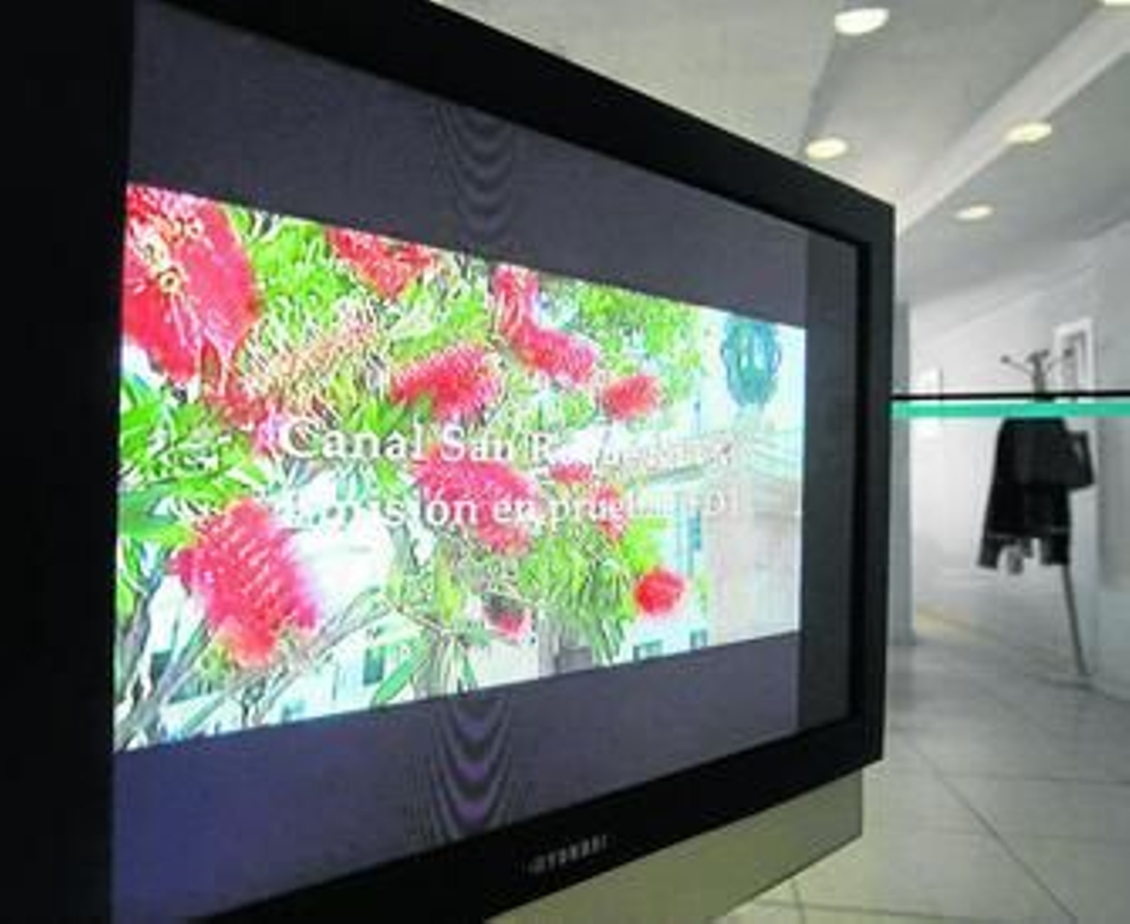 Una televisión muestra la señal de Canal San Roque en TDT antes de su cese.