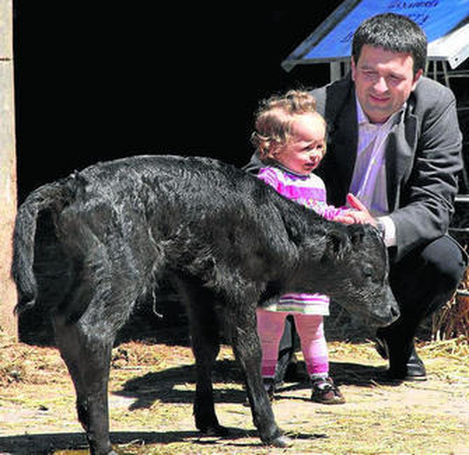 Veterinarios y ganadero junto al primer toro de lidia clonado.