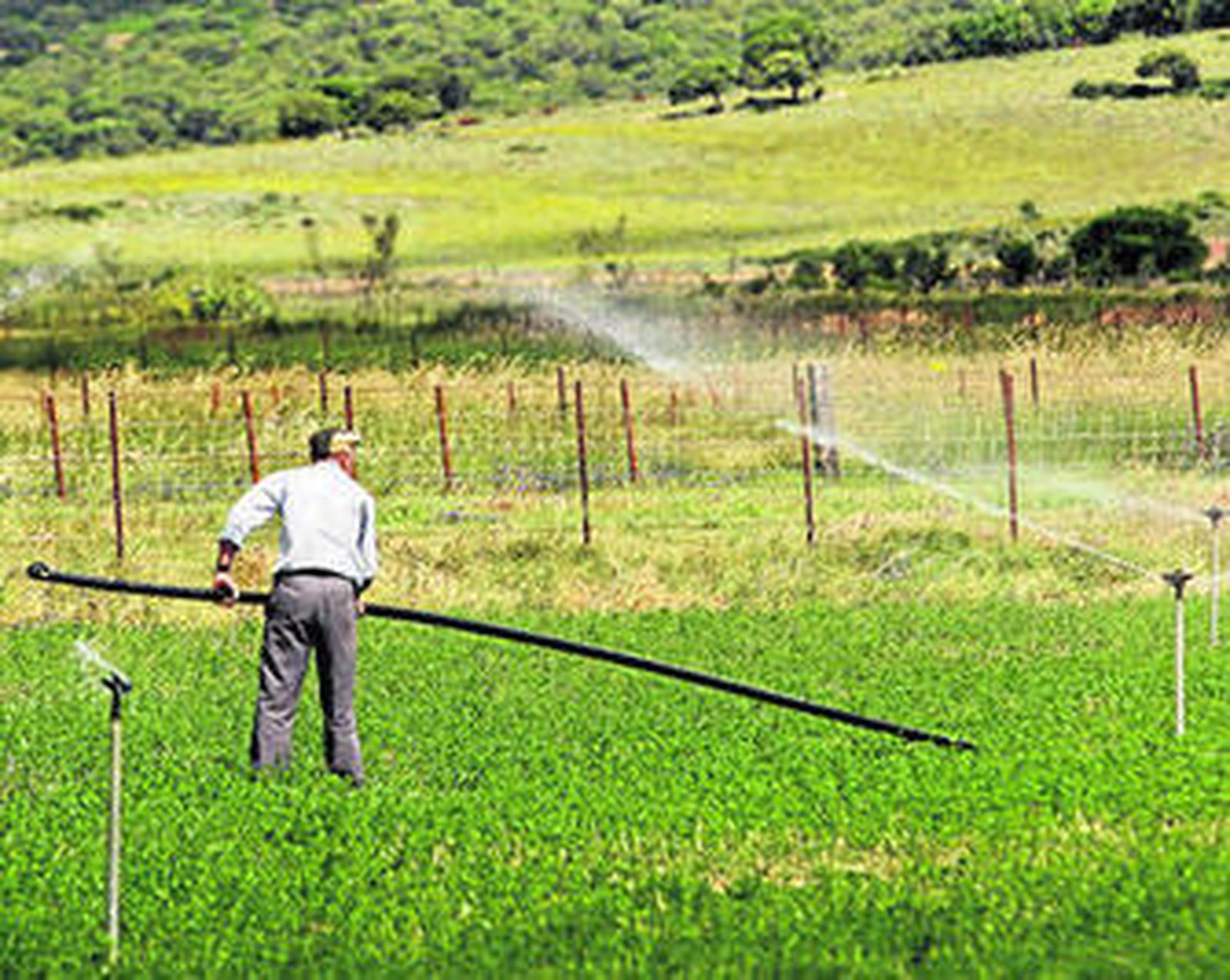 Un trabajador realizando trabajos en los pastos de una finca de Benalup.