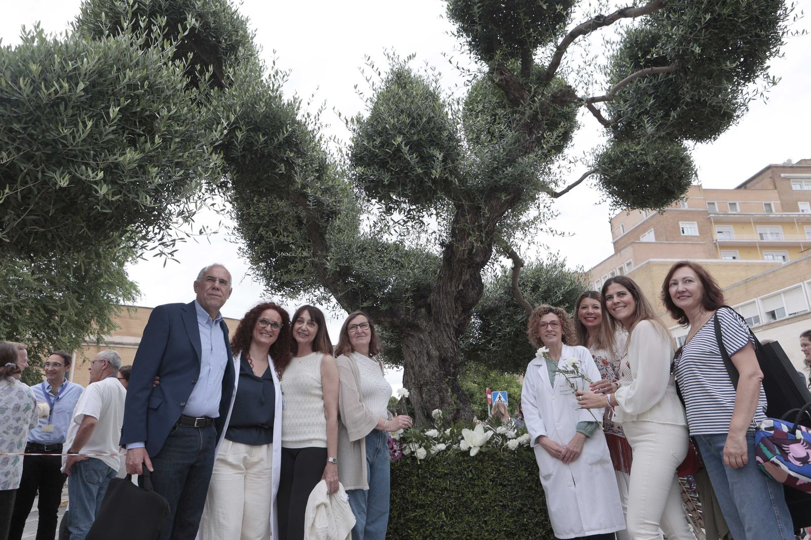 Día Nacional del Donante de órganos