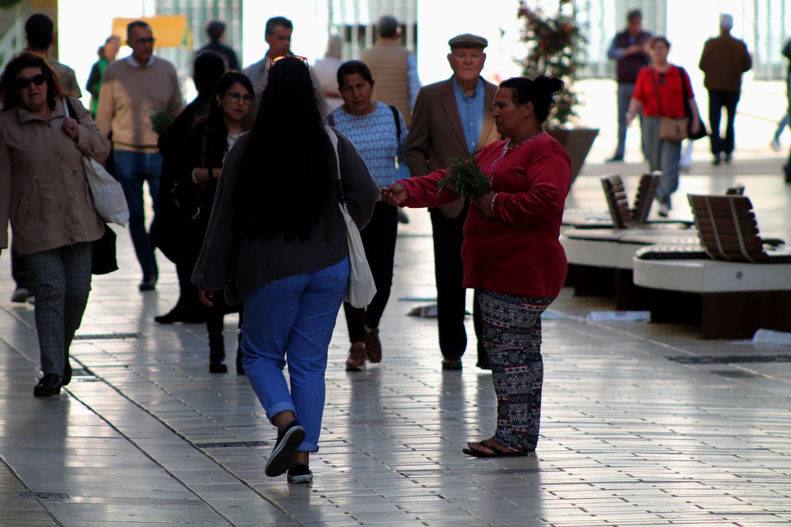 Imágenes del miércoles 12 de Abril
