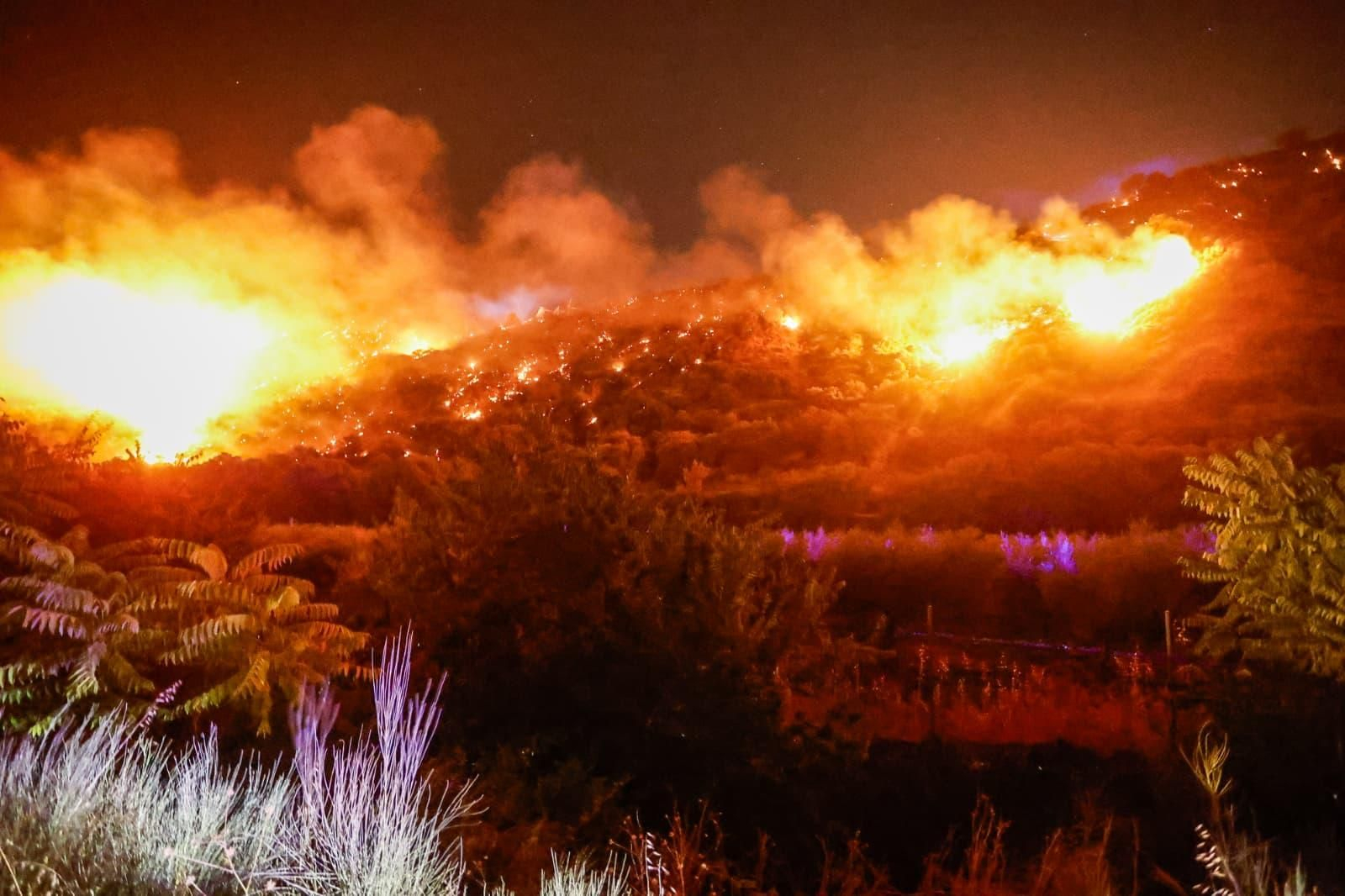 Incendio forestal declarado en la zona de Fuente de la Bicha