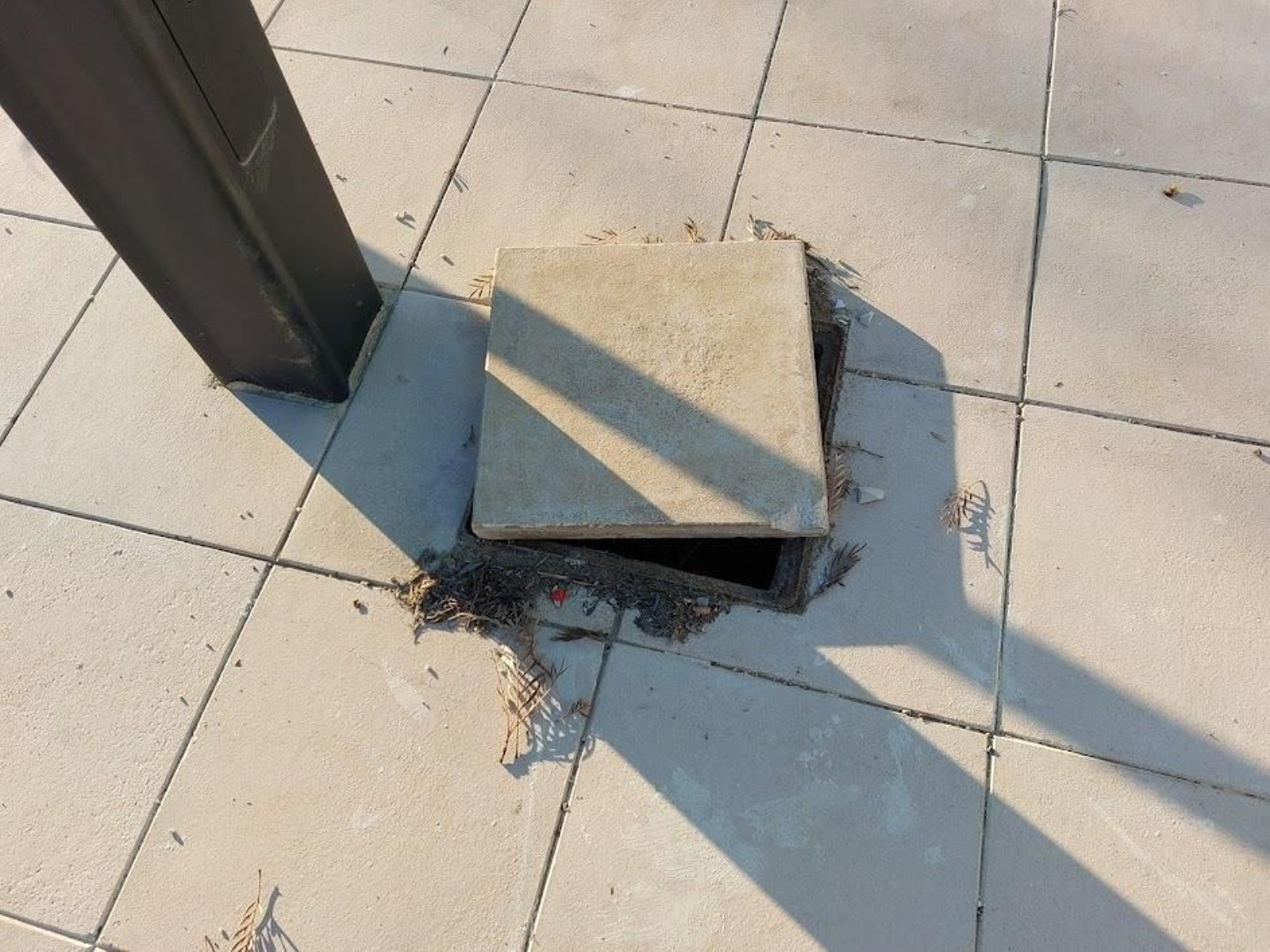 Inmediaciones del Jaén Plaza.